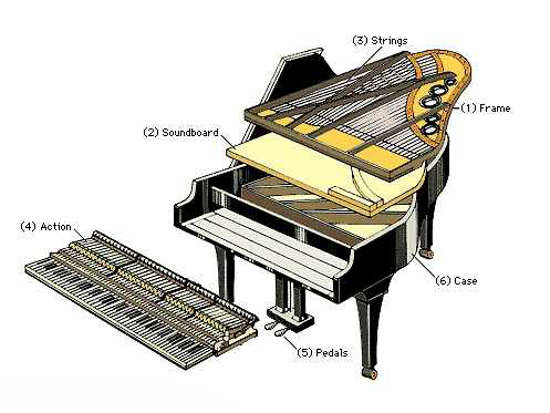 Các bộ phận của đàn piano và cách thức hoạt động của từng bộ phận