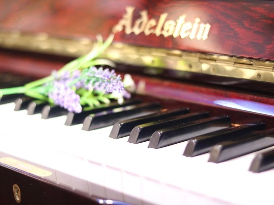 Người mới học nên chọn đàn piano nào? 2