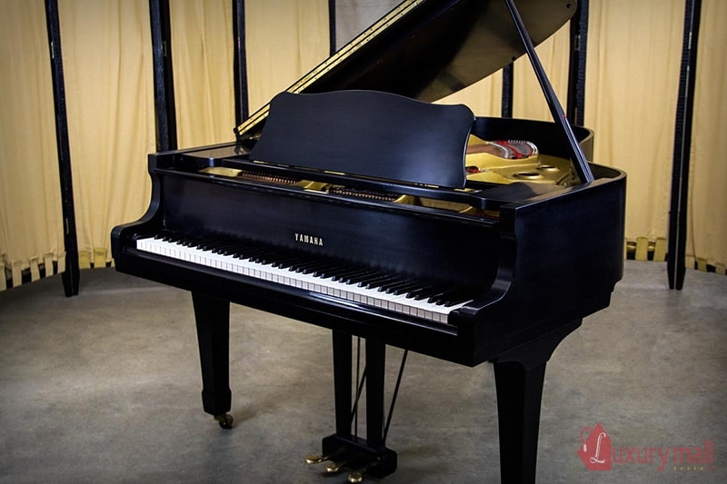 Tư vấn cách chọn đàn Piano lớn (Grand Piano)